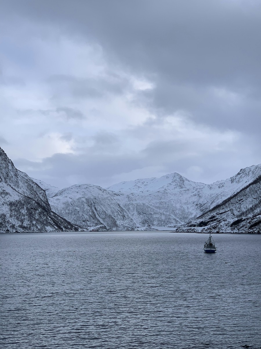 Glacial Fjord Expedition